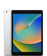 iPad (9.ª generación)